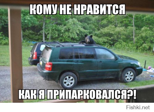 Смешные записки для гениев парковки