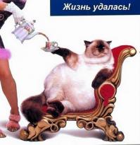 Фишкина солянка за 19.09.2014