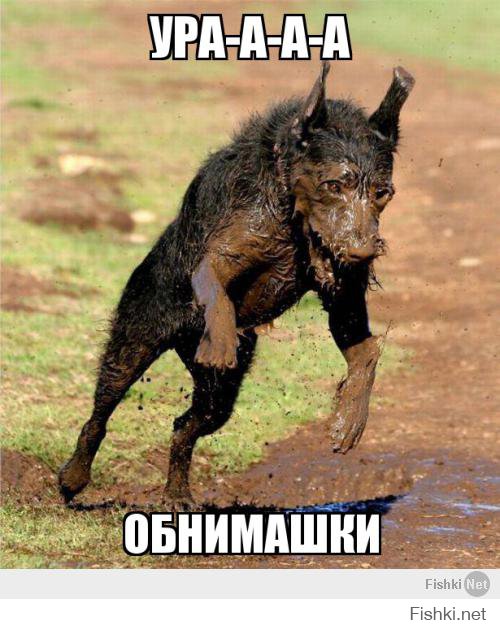 Фотоподборка дня