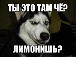 Собака-подляка