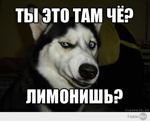 Собака-подляка
