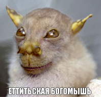 Ты меня чего, не видишь?
