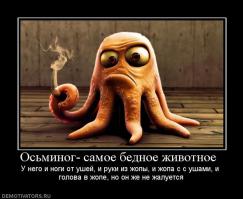 Заехали в магазин