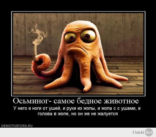 Заехали в магазин