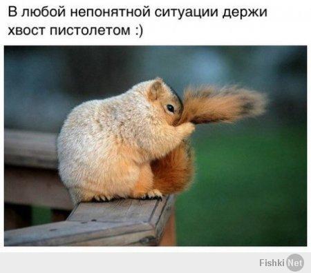 Фишкина солянка за 11.04.2014