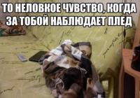 Фишкина солянка за 19.09.2014