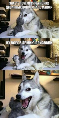 солянка политическая #10