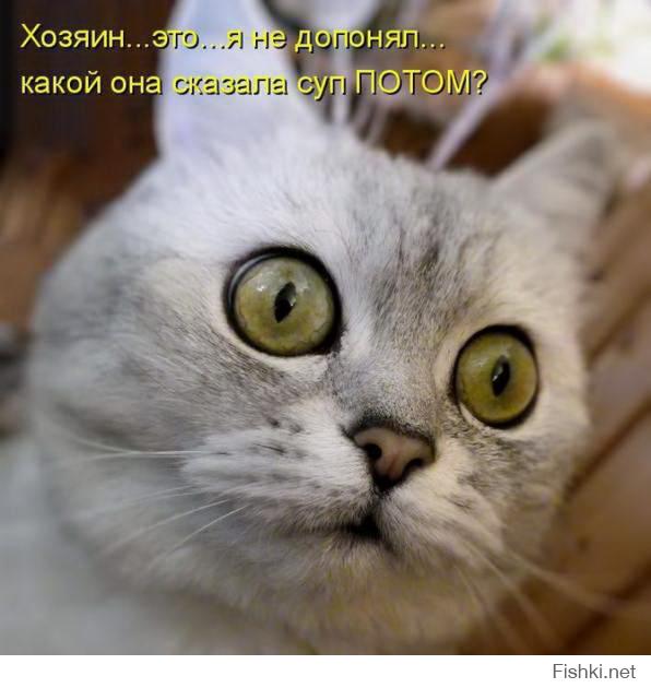 Картинки со смешными подписями