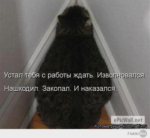 Люблю пошкодить, нашалить и все на Шарика свалить (с)