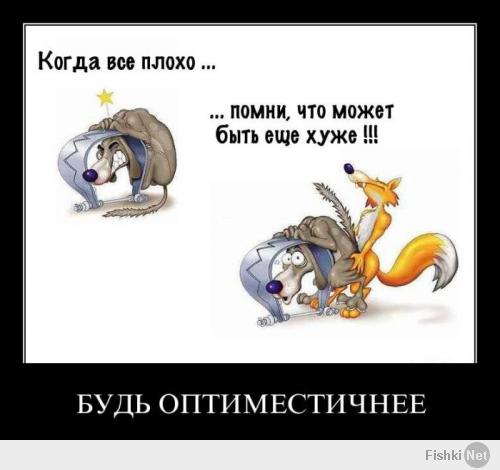 Птичку жалко...