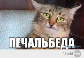 Внезапно !