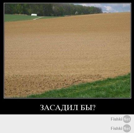 Без слов!