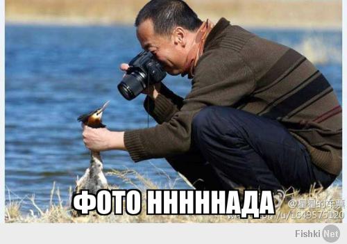 Настойчивый фотограф