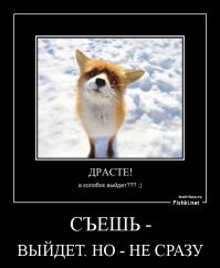 Демотиваторы