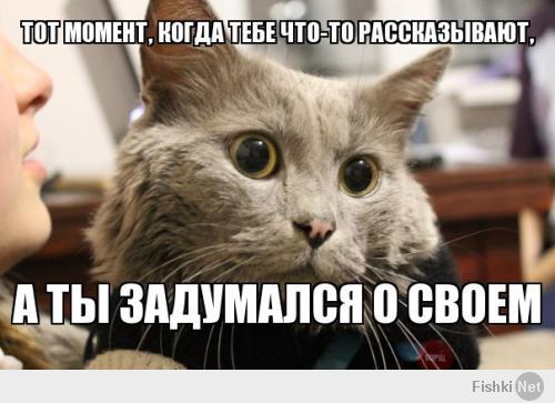 Терпение домашних животных
