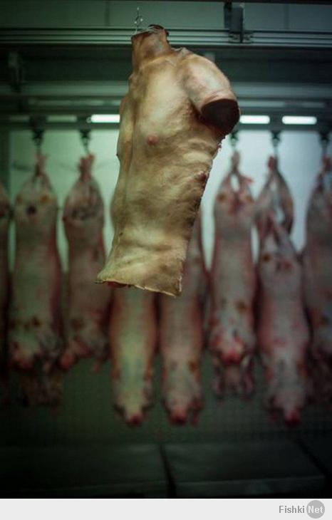 ЭТИ УБЛЮДКИ ОТКРЫЛИ МАГАЗИН ЧЕЛОВЕЧЕСКОГО МЯСА В ЛОНДОНЕ.НАЦИЯ УПЫРЕЙ.