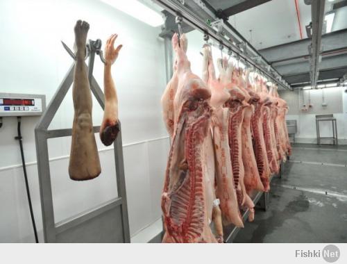 ЭТИ УБЛЮДКИ ОТКРЫЛИ МАГАЗИН ЧЕЛОВЕЧЕСКОГО МЯСА В ЛОНДОНЕ.НАЦИЯ УПЫРЕЙ.
