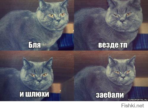 Фееричная ТП