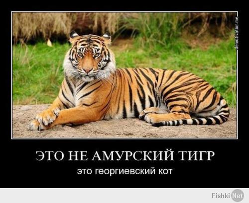 Гимн «Вежливых людей»
