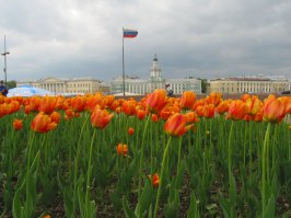 Плюсую. Мой любимый город в любое время года.