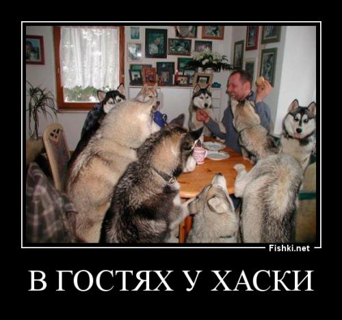 Чиновники как они есть.