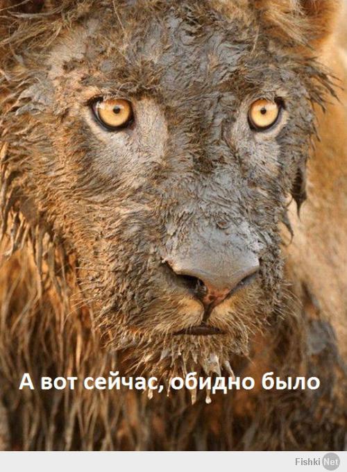 Отдых на Украине!