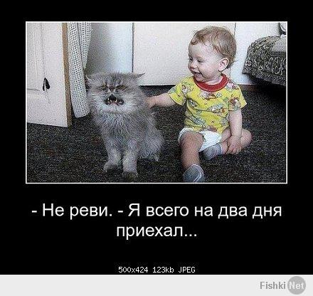 ДЕМОТИВАТОРЫ НА СУББОТУ