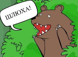 Попутчица
