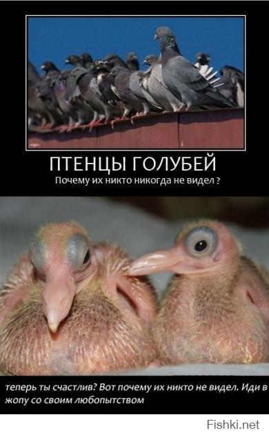 угадайте кто это?