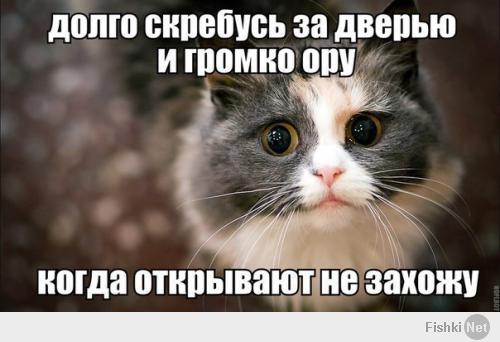 Фишкина солянка за 20.04.2014