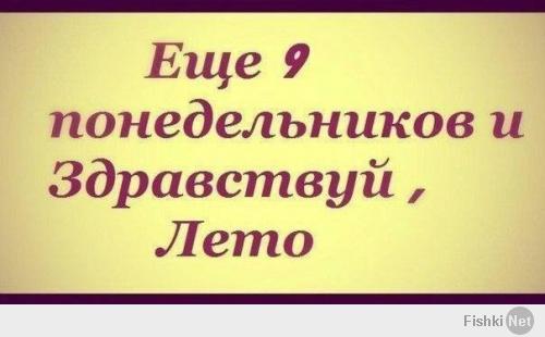 Фишкина солянка за 26.04.2014