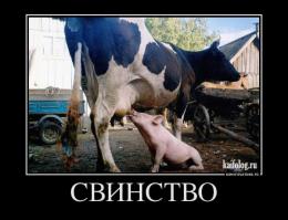 Демотиваторы про Укро-ину