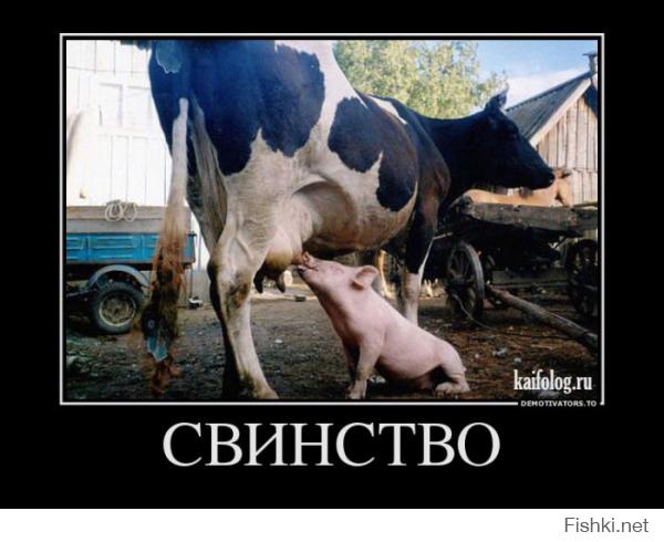 Демотиваторы про Укро-ину