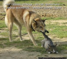 А бывает и наоборот