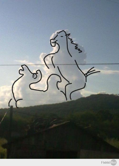 Конь хочет ехать на верблюде