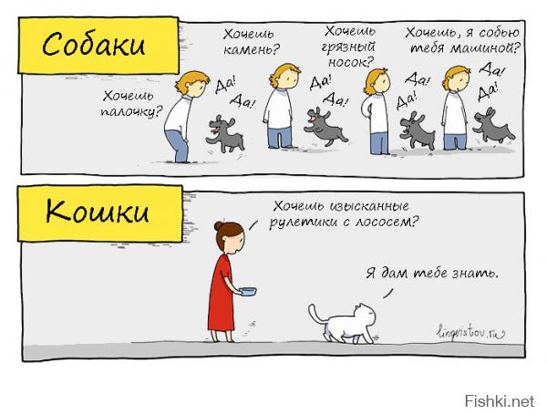 Правила кошачьего этикета