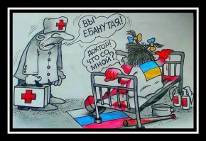 "Мыздобулы" в картинках. Смешных и не очень...