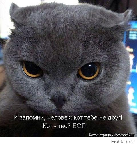 Зима близко