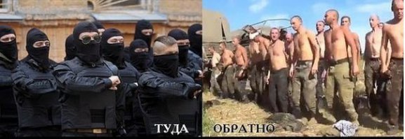 Солянка политическая #5
