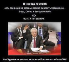солянка политическая #8