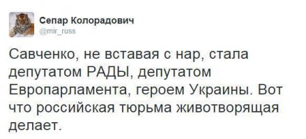солянка политическая #8
