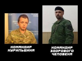 солянка политическая #8