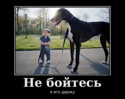 Маленькие дети и их большие собаки