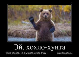 Медведи на все случаи жизни