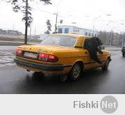 Медведи на все случаи жизни