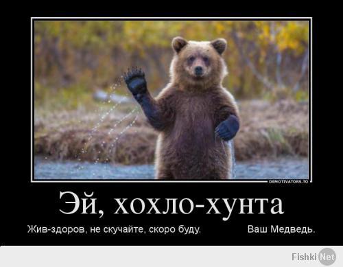 Медведи на все случаи жизни