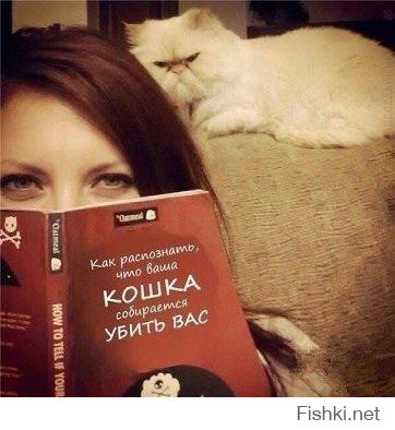 Животные, которые не сомневаются в своей крутости