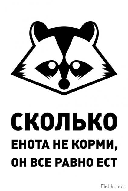Еноты