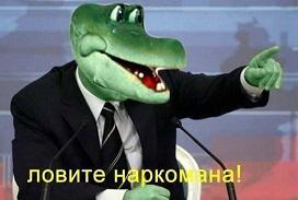 Подборка под бутератом!!