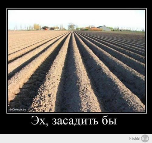 Не хочу на дачу